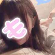 もね おやすみなさい BAD COMPANY（バッドカンパニー）