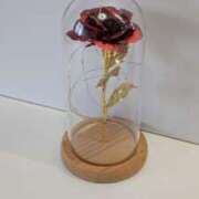 ヒメ日記 2025/05/20 11:10 投稿 神木亜美 五十路マダム 浜松店(カサブランカグループ)