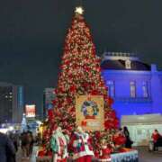 ヒメ日記 2025/11/20 07:49 投稿 咲恋（えれん） エスペランサ新館