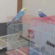 ヒメ日記 2025/12/21 08:55 投稿 のぞみさん 鶯谷のデリヘル桃山