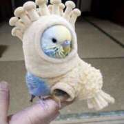 のぞみさん 待機しています 鶯谷のデリヘル桃山