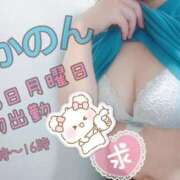 ヒメ日記 2025/05/21 17:27 投稿 かのん 丸妻 厚木店