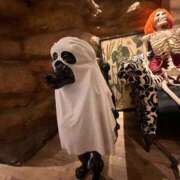 ヒメ日記 2025/10/02 20:18 投稿 かのん 丸妻 厚木店