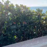 かのん 日常 丸妻 厚木店