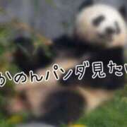 ヒメ日記 2026/01/09 10:56 投稿 かのん 丸妻 厚木店