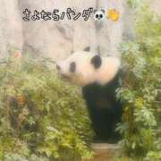 ヒメ日記 2026/01/25 22:57 投稿 かのん 丸妻 厚木店