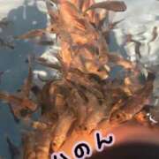 ヒメ日記 2026/03/25 20:21 投稿 かのん 丸妻 厚木店