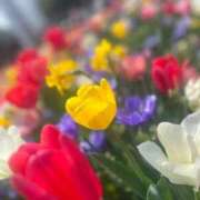 ヒメ日記 2026/03/31 21:21 投稿 かのん 丸妻 厚木店