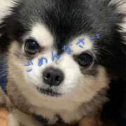 ヒメ日記 2025/05/26 09:20 投稿 蜜音（みつね） 熟女の風俗最終章　鶯谷店