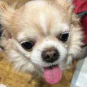 ヒメ日記 2025/12/19 11:07 投稿 蜜音（みつね） 熟女の風俗最終章　鶯谷店