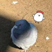 ヒメ日記 2026/02/02 11:26 投稿 蜜音（みつね） 熟女の風俗最終章　鶯谷店