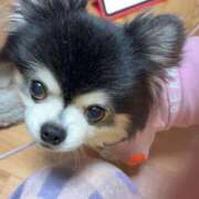 ヒメ日記 2026/03/02 19:46 投稿 蜜音（みつね） 熟女の風俗最終章　鶯谷店