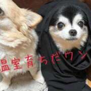 ヒメ日記 2026/03/02 22:57 投稿 蜜音（みつね） 熟女の風俗最終章　鶯谷店