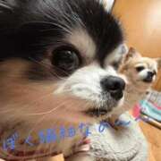 ヒメ日記 2026/03/10 09:46 投稿 蜜音（みつね） 熟女の風俗最終章　鶯谷店