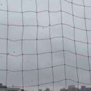 ヒメ日記 2026/03/10 12:22 投稿 蜜音（みつね） 熟女の風俗最終章　鶯谷店