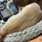 ヒメ日記 2026/03/12 05:06 投稿 蜜音（みつね） 熟女の風俗最終章　鶯谷店