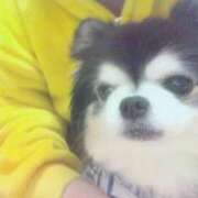 ヒメ日記 2026/03/13 10:45 投稿 蜜音（みつね） 熟女の風俗最終章　鶯谷店