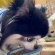 ヒメ日記 2026/03/13 18:19 投稿 蜜音（みつね） 熟女の風俗最終章　鶯谷店