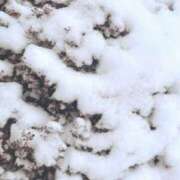 ヒメ日記 2026/02/08 13:40 投稿 あおい おクンニ学園 横浜関内校