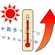 ヒメ日記 2025/06/01 12:14 投稿 さつき 丸妻 横浜本店