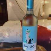 ヒメ日記 2025/10/20 13:28 投稿 さつき 丸妻 横浜本店