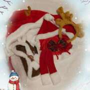 さつき クリスマス準備🎄 丸妻 横浜本店