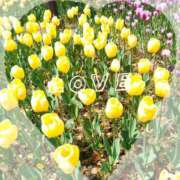 さつき おはようございます☀ 丸妻 横浜本店