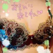 ヒメ日記 2026/06/01 11:34 投稿 さつき 丸妻 横浜本店