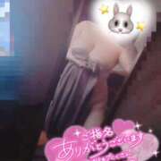 みほし 酔っちゃう..♡ 丸妻 新横浜店