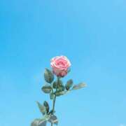 ヒメ日記 2025/09/17 18:32 投稿 るな ミルキーラテ