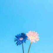 ヒメ日記 2025/09/25 18:24 投稿 るな ミルキーラテ