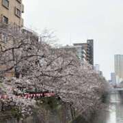 ヒメ日記 2026/04/03 21:08 投稿 るな ミルキーラテ