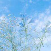 ヒメ日記 2026/04/04 09:26 投稿 るな ミルキーラテ