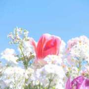 るな ありがとうございました🫶🏻 ミルキーラテ