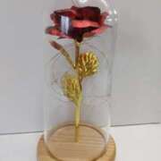 ヒメ日記 2025/05/21 15:02 投稿 小沢さゆみ 五十路マダム 浜松店(カサブランカグループ)