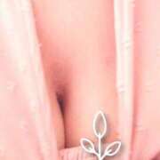 ヒメ日記 2025/05/28 17:22 投稿 小沢さゆみ 五十路マダム 浜松店(カサブランカグループ)