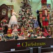 ヒメ日記 2025/12/16 14:02 投稿 小沢さゆみ 五十路マダム 浜松店(カサブランカグループ)