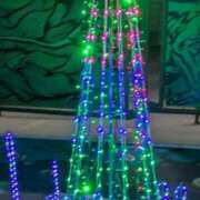 ヒメ日記 2025/12/20 02:02 投稿 小沢さゆみ 五十路マダム 浜松店(カサブランカグループ)