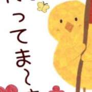 ヒメ日記 2026/04/05 09:02 投稿 小沢さゆみ 五十路マダム 浜松店(カサブランカグループ)