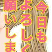 ヒメ日記 2026/04/09 09:08 投稿 小沢さゆみ 五十路マダム 浜松店(カサブランカグループ)