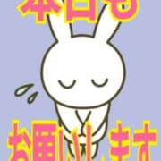 ヒメ日記 2026/04/12 14:02 投稿 小沢さゆみ 五十路マダム 浜松店(カサブランカグループ)