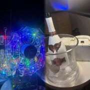 ヒメ日記 2025/12/09 19:13 投稿 みい MINT（ミント）