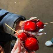 ヒメ日記 2026/01/08 19:06 投稿 みい MINT（ミント）