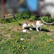 ヒメ日記 2025/07/06 04:24 投稿 美影／みかげ 大宮人妻セレブリティ（ユメオト）