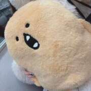 ヒメ日記 2026/01/11 23:40 投稿 有村 まろ 夜這い＆イメクラ 妄想する女学生たち 難波校