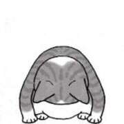 ヒメ日記 2025/10/20 08:37 投稿 ひまり みせすはーと