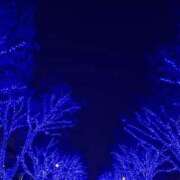 ヒメ日記 2025/12/11 22:14 投稿 ひまり みせすはーと