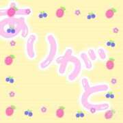 ヒメ日記 2025/06/19 16:05 投稿 望月 名古屋デッドボール