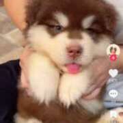 ヒメ日記 2025/10/20 22:06 投稿 望月 名古屋デッドボール