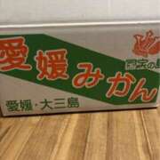 ヒメ日記 2025/12/05 23:30 投稿 望月 名古屋デッドボール